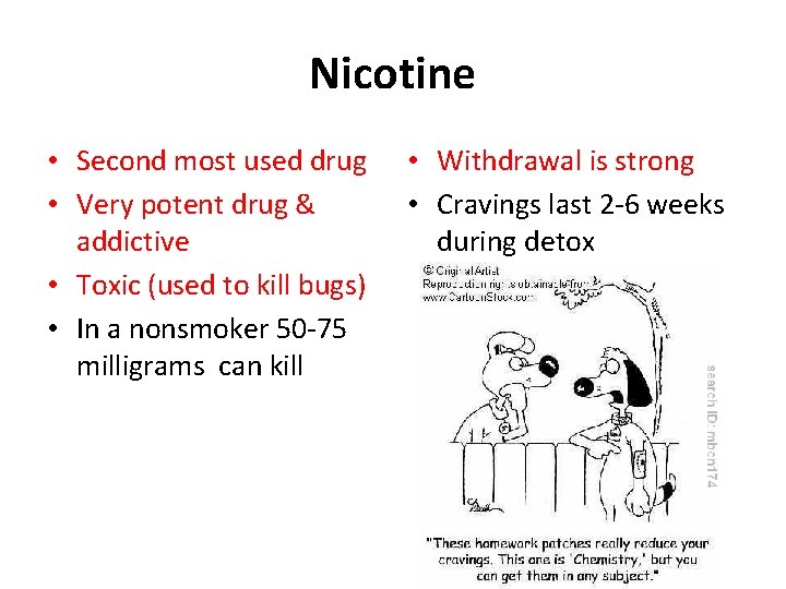 Nicotine • Second most used drug • Very potent drug & addictive • Toxic