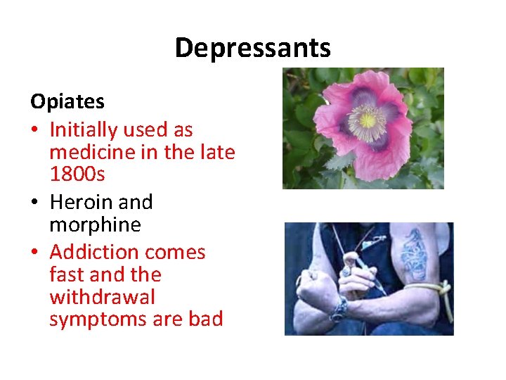 Depressants Opiates • Initially used as medicine in the late 1800 s • Heroin