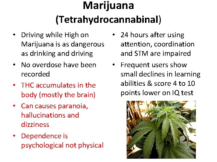 Marijuana (Tetrahydrocannabinal) • 24 hours after using • Driving while High on attention, coordination