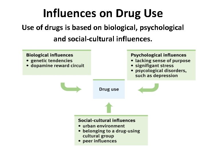 Influences on Drug Use of drugs is based on biological, psychological and social-cultural influences.