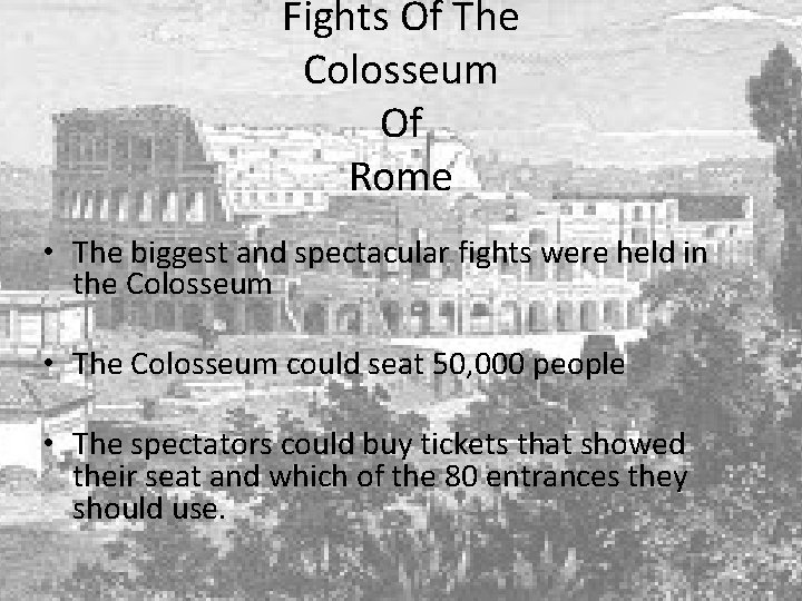 Fights Of The Colosseum Of Rome • The biggest and spectacular fights were held