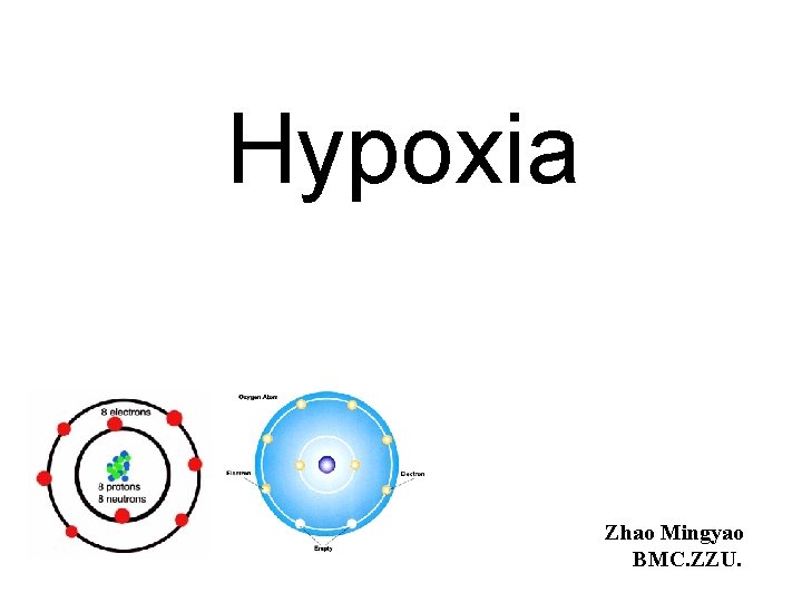 Hypoxia Zhao Mingyao BMC. ZZU. 