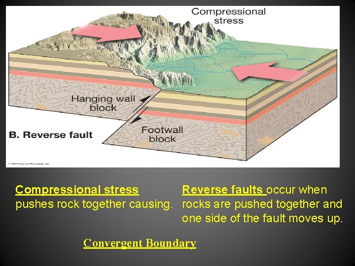 Compressional stress Reverse faults occur when pushes rock together causing. rocks are pushed together