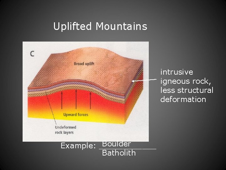 Uplifted Mountains intrusive igneous rock, less structural deformation Boulder Example: ______ Batholith 