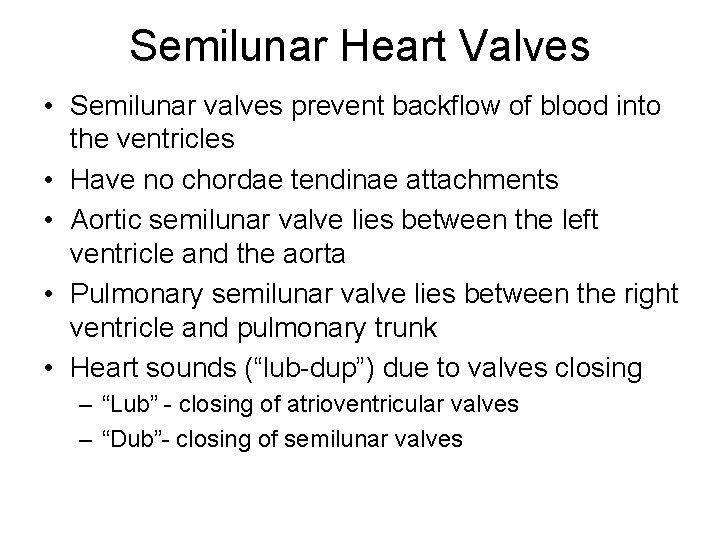Semilunar Heart Valves • Semilunar valves prevent backflow of blood into the ventricles •