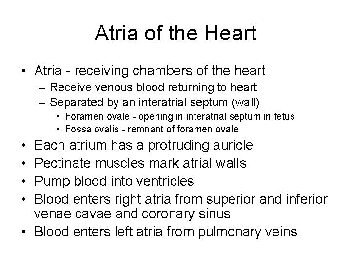 Atria of the Heart • Atria - receiving chambers of the heart – Receive