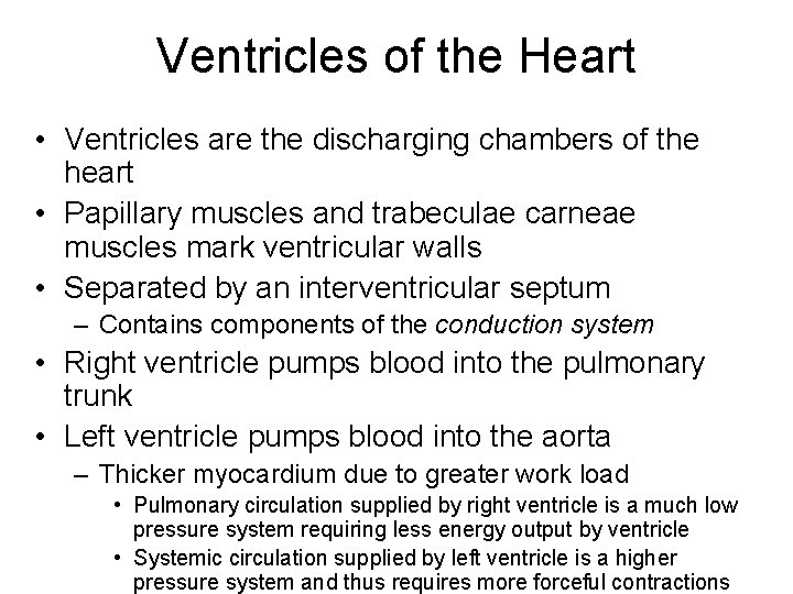 Ventricles of the Heart • Ventricles are the discharging chambers of the heart •