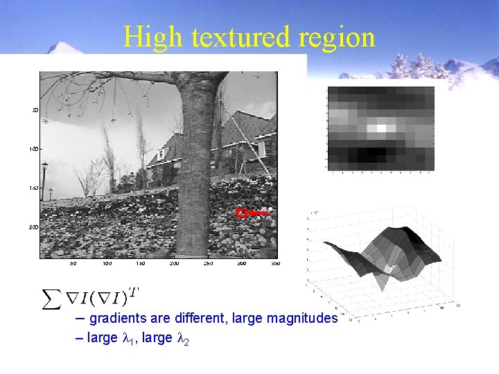 High textured region – gradients are different, large magnitudes – large l 1, large