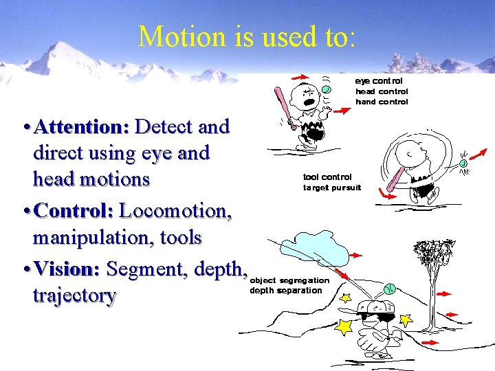 Motion is used to: • Attention: Detect and direct using eye and head motions