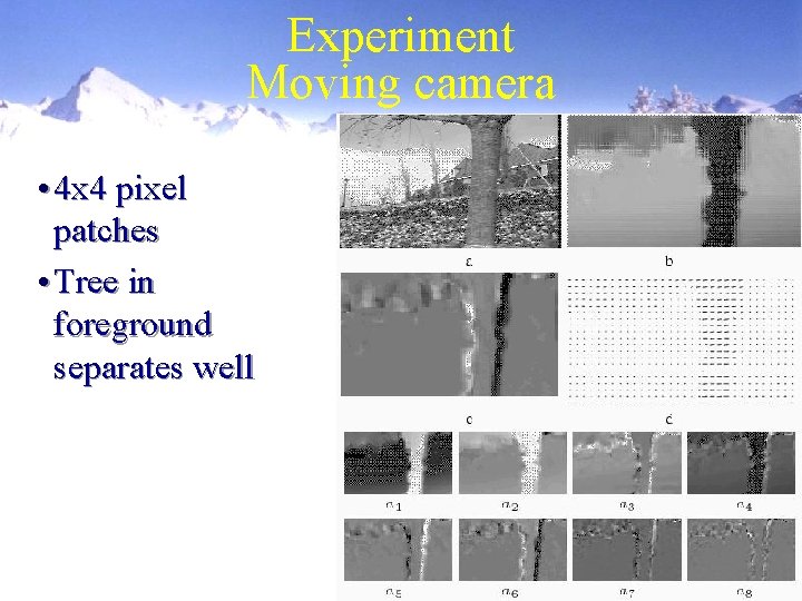 Experiment Moving camera • 4 x 4 pixel patches • Tree in foreground separates