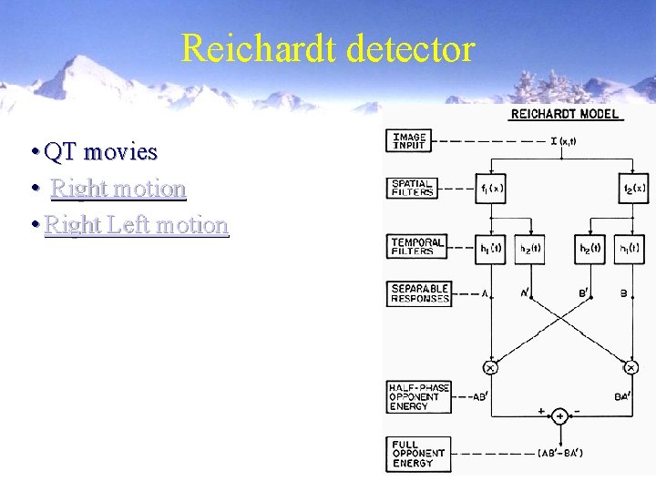 Reichardt detector • QT movies • Right motion • Right Left motion 