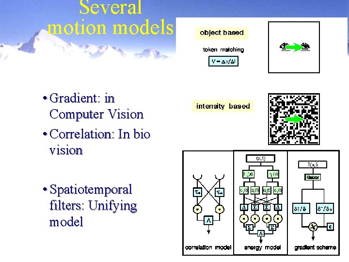 Several motion models • Gradient: in Computer Vision • Correlation: In bio vision •