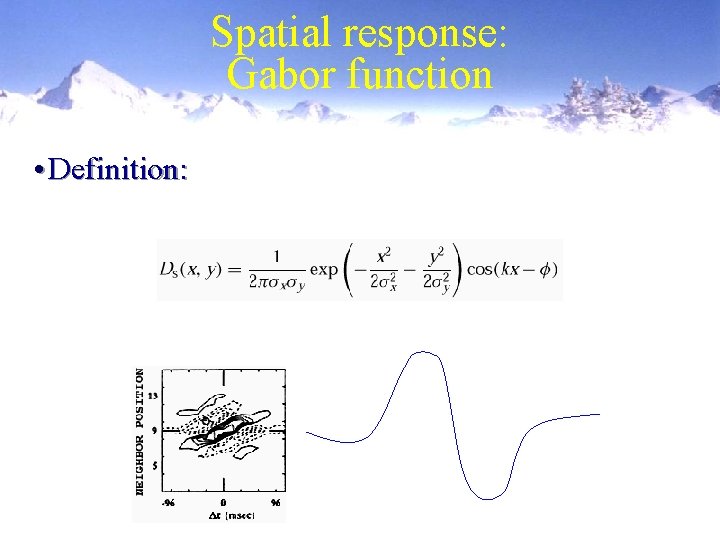 Spatial response: Gabor function • Definition: 