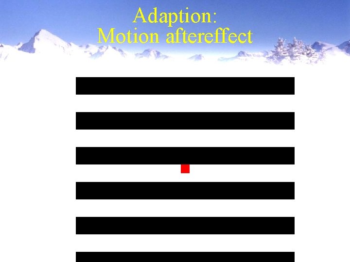 Adaption: Motion aftereffect 