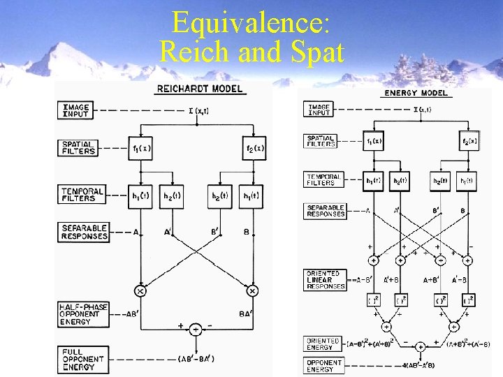 Equivalence: Reich and Spat 