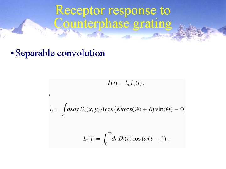 Receptor response to Counterphase grating • Separable convolution 