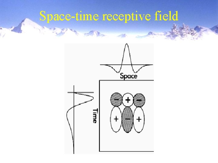 Space-time receptive field 