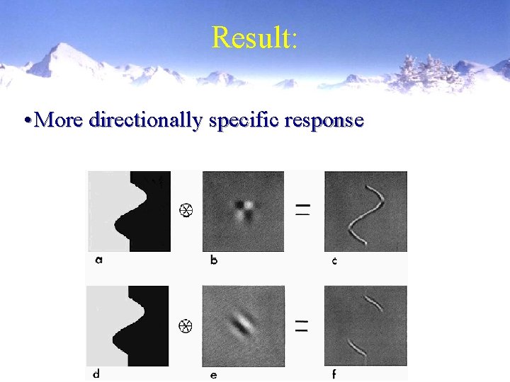 Result: • More directionally specific response 