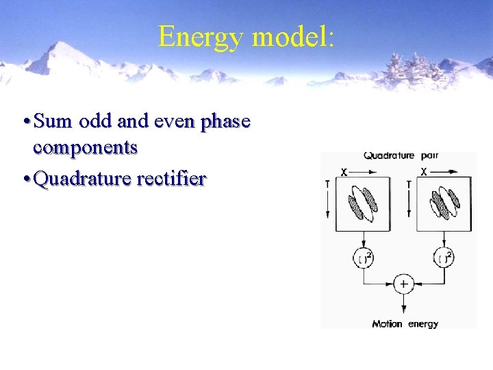 Energy model: • Sum odd and even phase components • Quadrature rectifier 