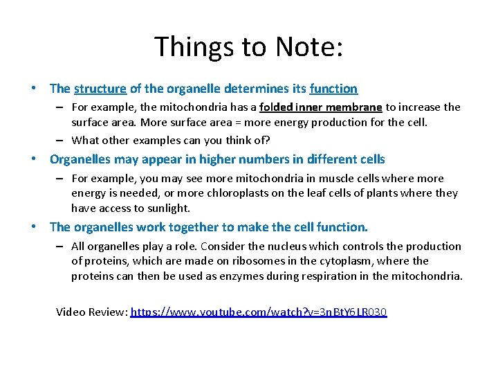 Things to Note: • The structure of the organelle determines its function – For