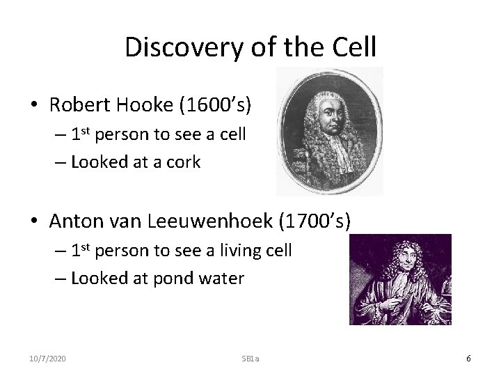 Discovery of the Cell • Robert Hooke (1600’s) – 1 st person to see