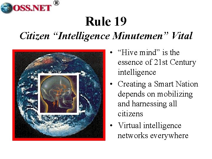 ® Rule 19 Citizen “Intelligence Minutemen” Vital • “Hive mind” is the essence of