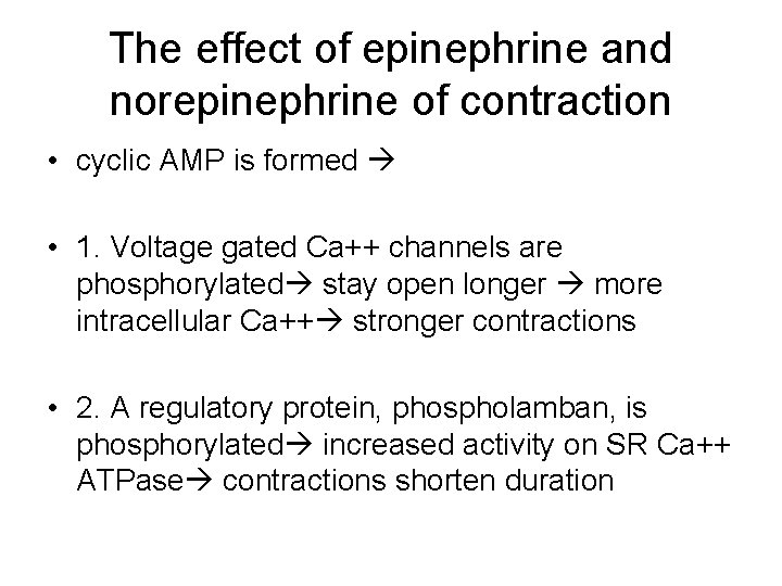 The effect of epinephrine and norepinephrine of contraction • cyclic AMP is formed •