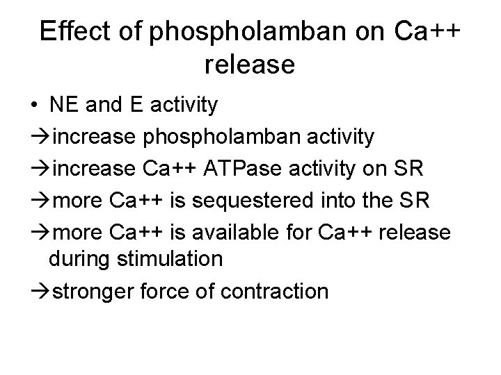 Effect of phospholamban on Ca++ release • NE and E activity increase phospholamban activity