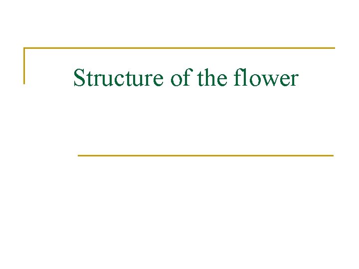 Structure of the flower 