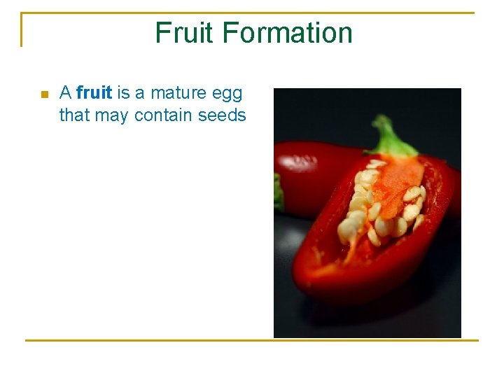 Fruit Formation n A fruit is a mature egg that may contain seeds 