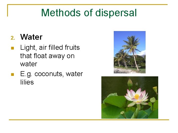 Methods of dispersal 2. n n Water Light, air filled fruits that float away