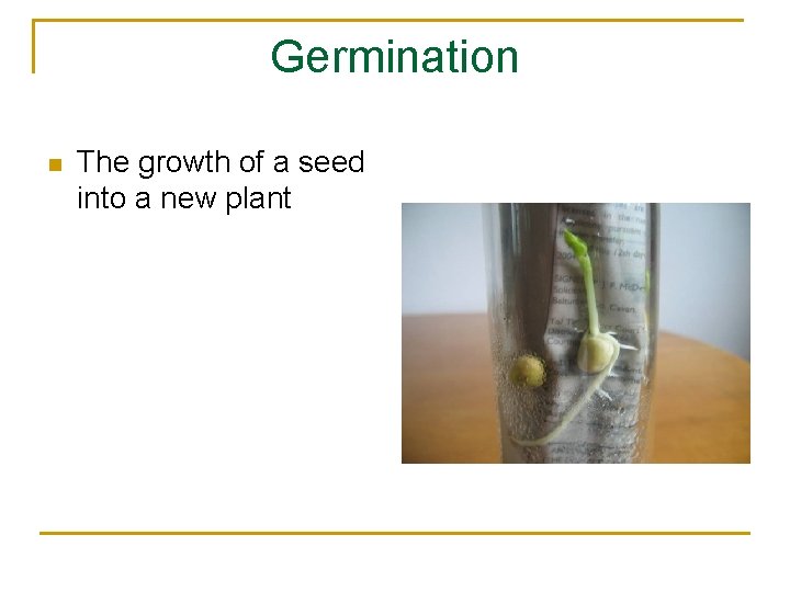 Germination n The growth of a seed into a new plant 