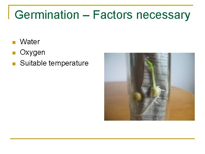 Germination – Factors necessary n n n Water Oxygen Suitable temperature 