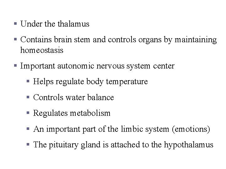 Hypothalamus § Under the thalamus § Contains brain stem and controls organs by maintaining