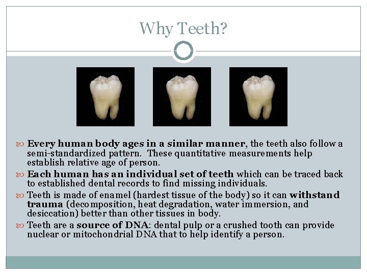 Why Teeth? Every human body ages in a similar manner, the teeth also follow