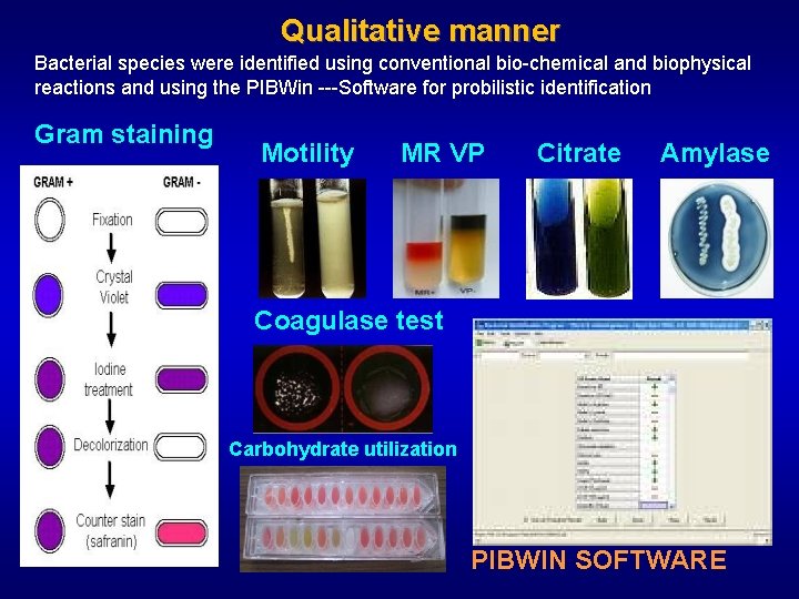 Qualitative manner Bacterial species were identified using conventional bio-chemical and biophysical reactions and using