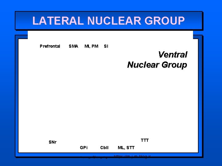 LATERAL NUCLEAR GROUP Prefrontal SMA MI, PM SI Ventral Nuclear Group TTT SNr GPi