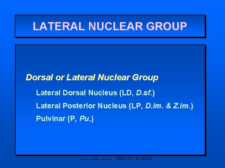 LATERAL NUCLEAR GROUP Dorsal or Lateral Nuclear Group Lateral Dorsal Nucleus (LD, D. sf.