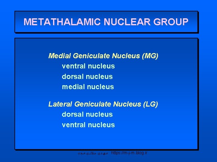 METATHALAMIC NUCLEAR GROUP Medial Geniculate Nucleus (MG) ventral nucleus dorsal nucleus medial nucleus Lateral