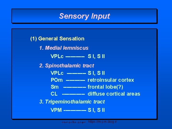 Sensory Input (1) General Sensation 1. Medial lemniscus VPLc ------ S I, S II
