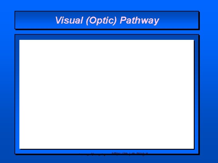 Visual (Optic) Pathway ﻣﻬﺪی ﺟﻼﻟی ﻣﺠﺪ https: //m-j-m. blog. ir 