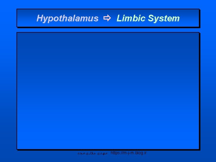 Hypothalamus Limbic System ﻣﻬﺪی ﺟﻼﻟی ﻣﺠﺪ https: //m-j-m. blog. ir 