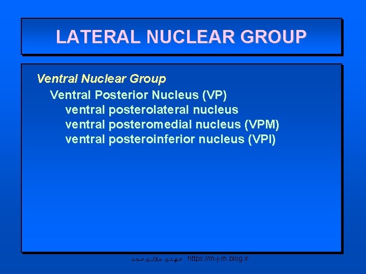 LATERAL NUCLEAR GROUP Ventral Nuclear Group Ventral Posterior Nucleus (VP) ventral posterolateral nucleus ventral