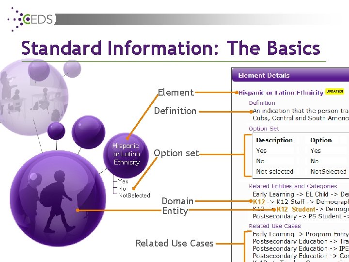 Standard Information: The Basics Element Definition Hispanic or Latino Ethnicity Yes No Not. Selected