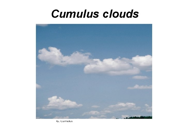 Cumulus clouds 