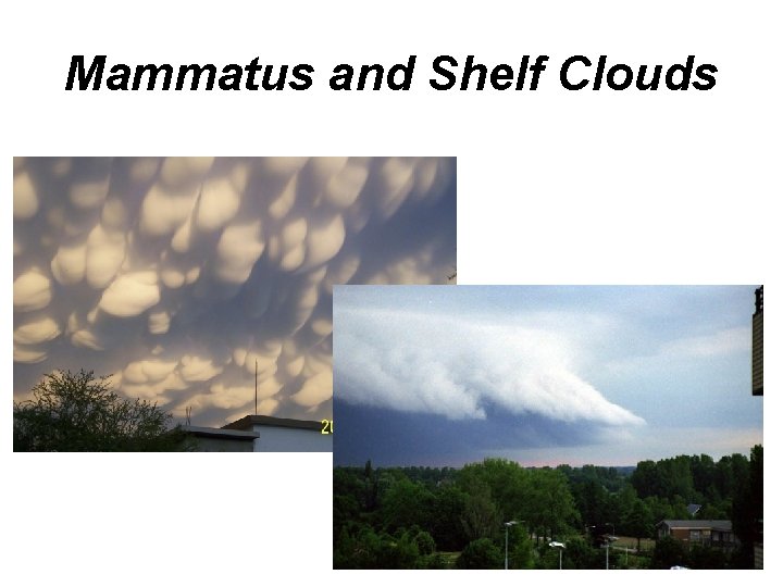 Mammatus and Shelf Clouds 