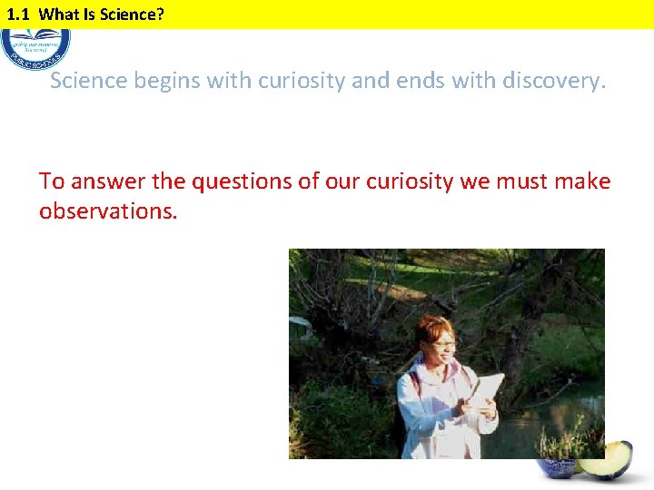 Grade 6 Nature of Science Big Idea 1