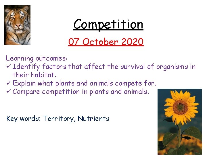 Competition 07 October 2020 Learning outcomes: ü Identify factors that affect the survival of