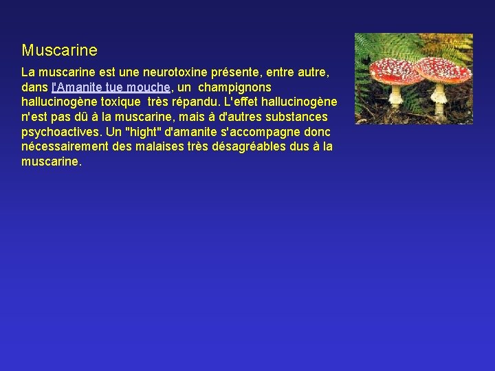 Muscarine La muscarine est une neurotoxine présente, entre autre, dans l'Amanite tue mouche, un