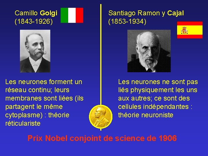 Camillo Golgi (1843 -1926) Les neurones forment un réseau continu; leurs membranes sont liées